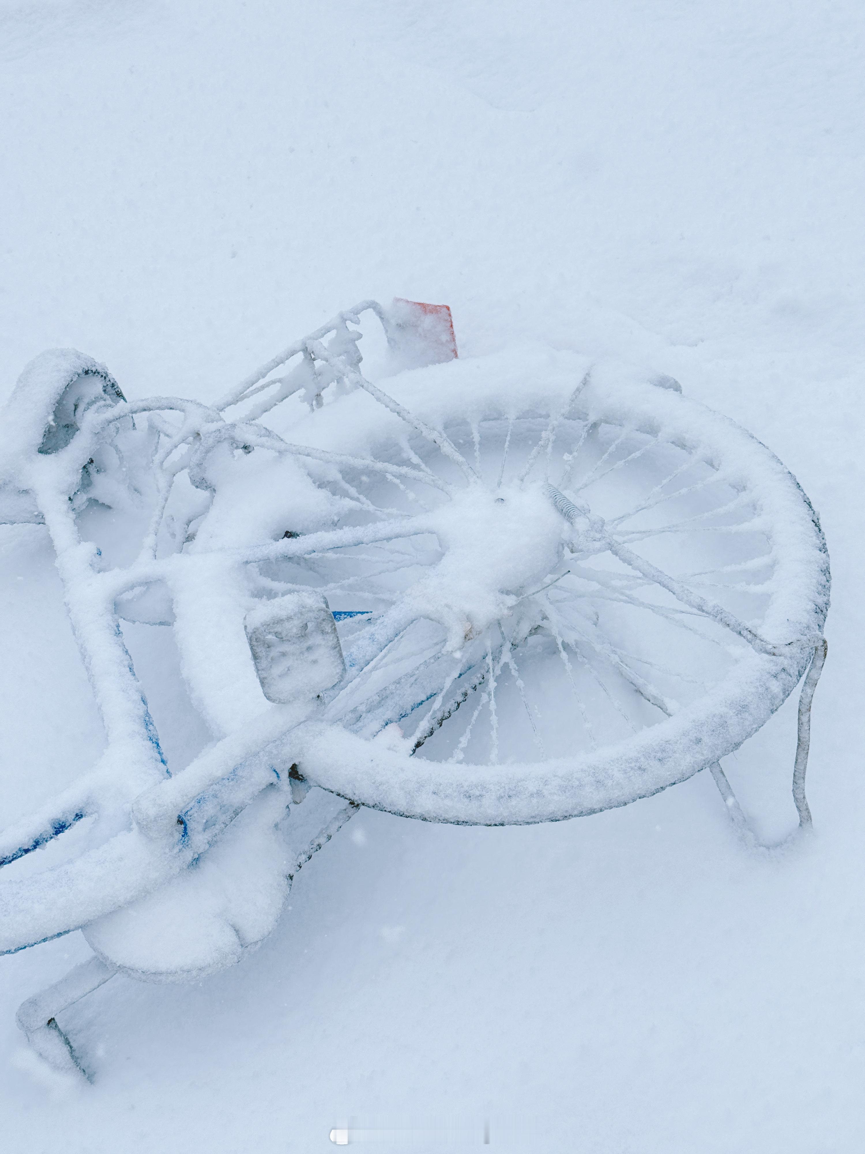 看济南三月的第一场雪❄️  