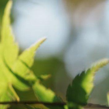 阳光信用阳光信用 生活从不会辜负认真前行的人。不必纠结过往的遗憾，也不用焦虑未知