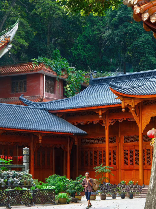 成都冷门徒步｜半山是寺🌿半寺是花！太美了！