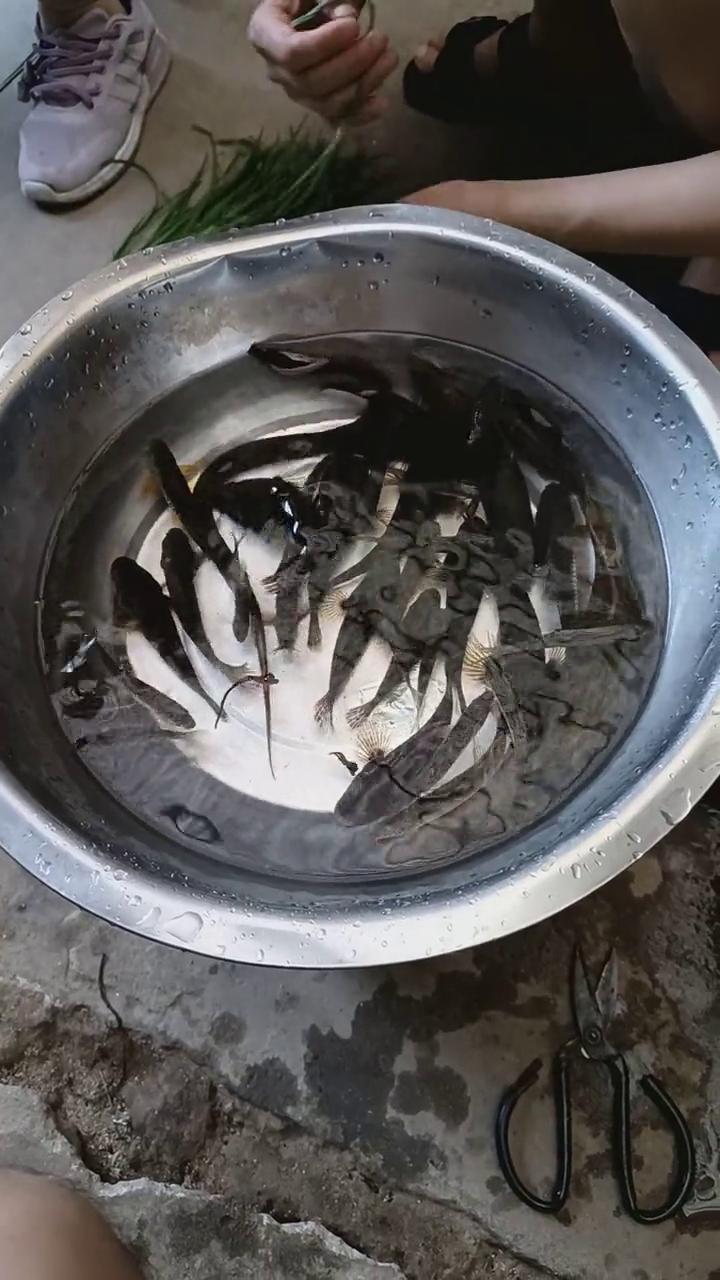 你过来，这个。