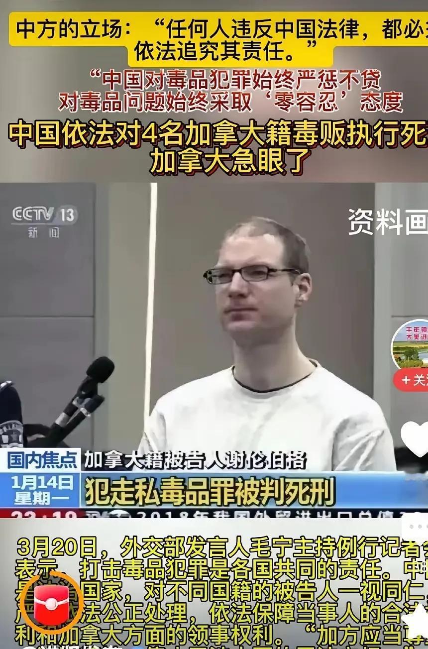 惩罚毒贩无国界！加拿大为被枪毙的毒贩发声，不如做好禁毒宣传和教育！
    中国