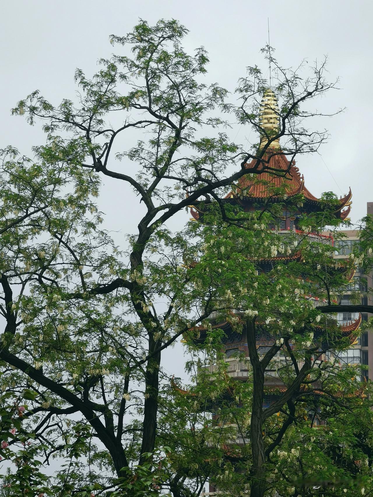 震碎三观！公园听到的一段对话，让我彻底明白了什么叫“毁三观的奇葩论调。
下午去公