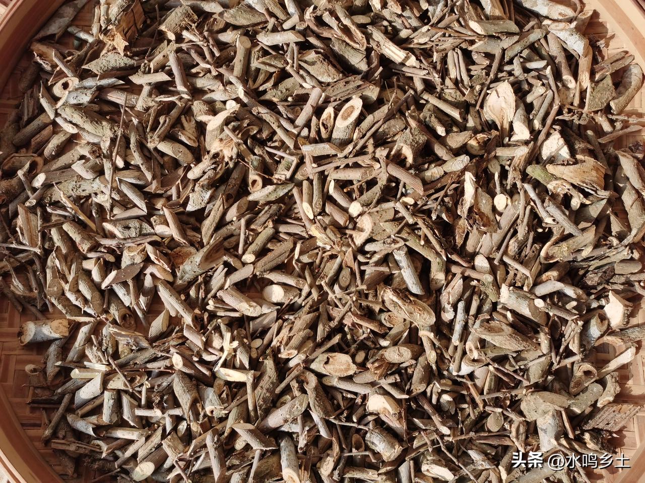 中专学历医学毕业生能否当村医?我就是中专毕业的，有执业助理医师资格证，以前的村医