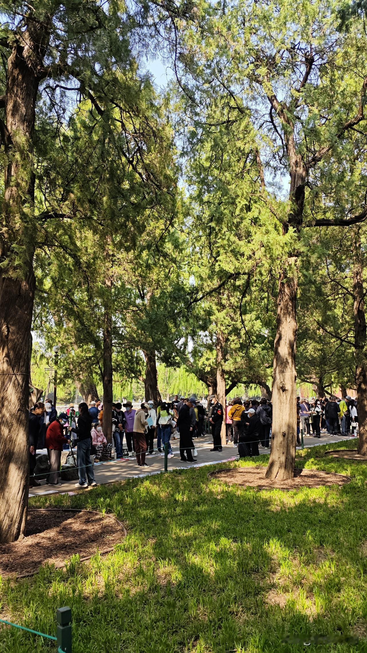 中山公园赏郁金香，无意中走入了相亲角，热闹堪比菜市场。

某摊主问我男孩还是女孩