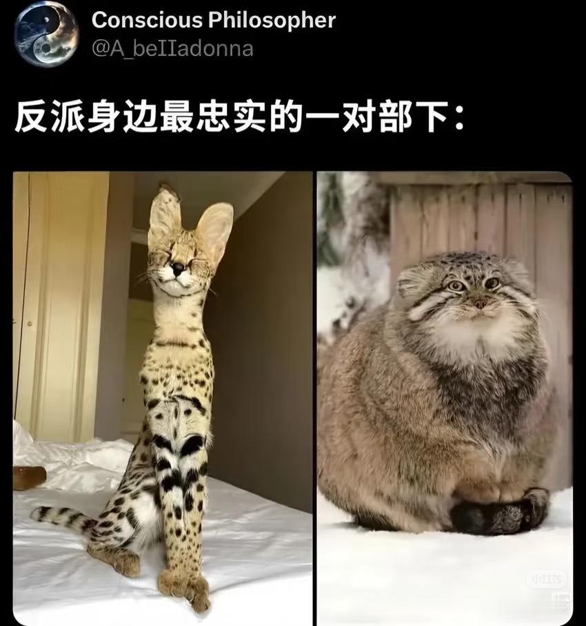 李棚改和胡建仁吗？