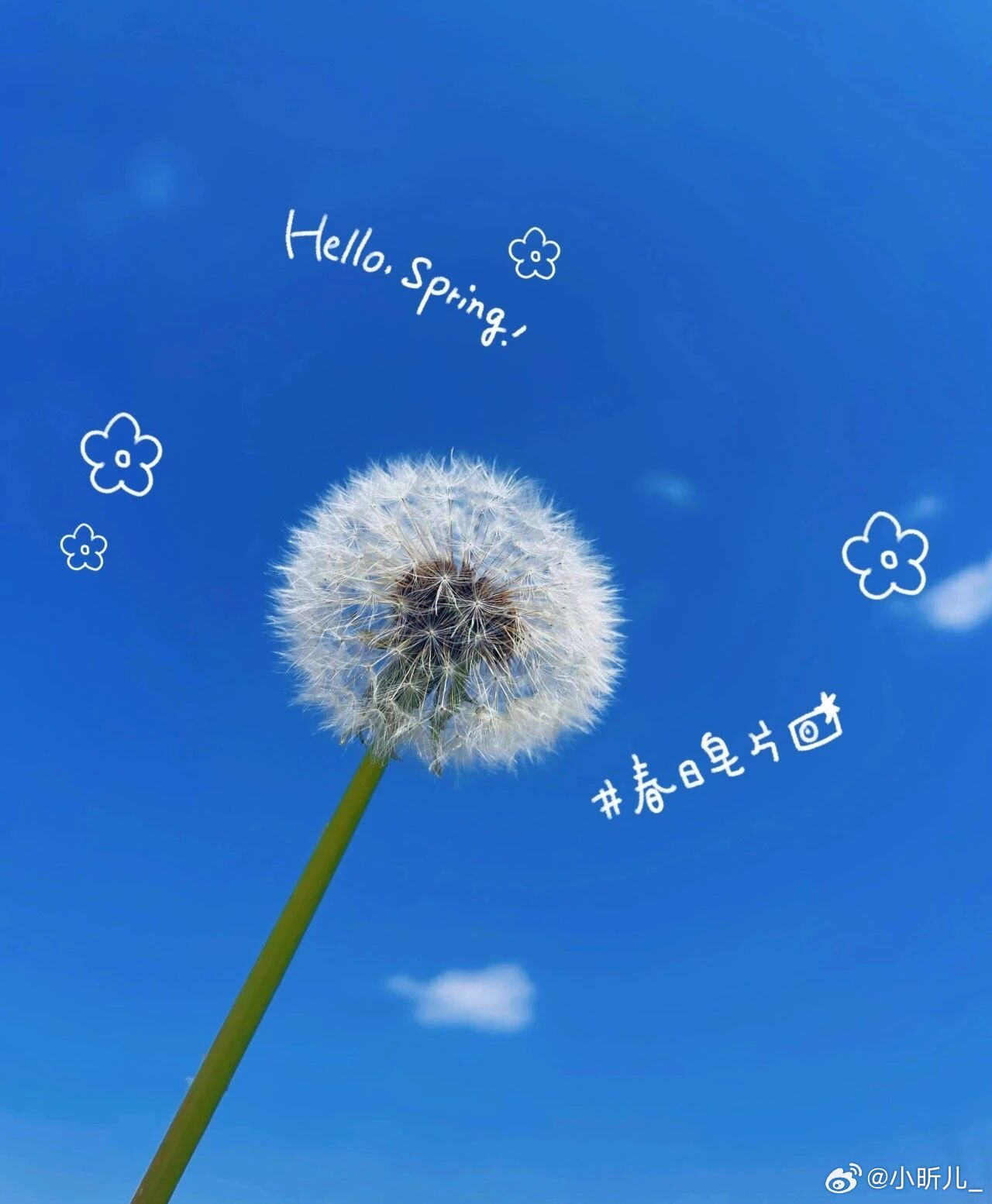 出来和春天见面，释怀一刻，听风享自由，那些重不重要的，都不要了  