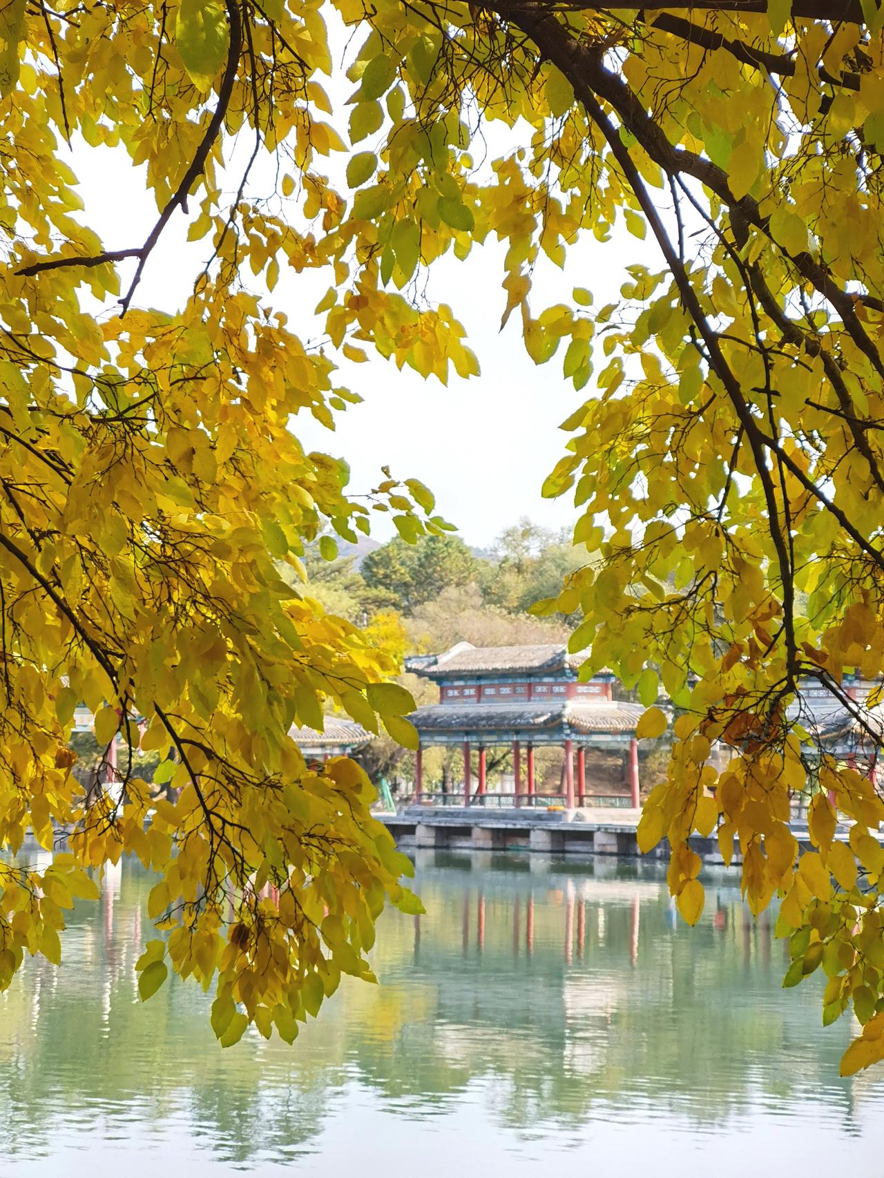 避暑山庄的秋天来了，变成了五颜六色的童话世界。

此时的避暑山庄温度适中 ，不冷