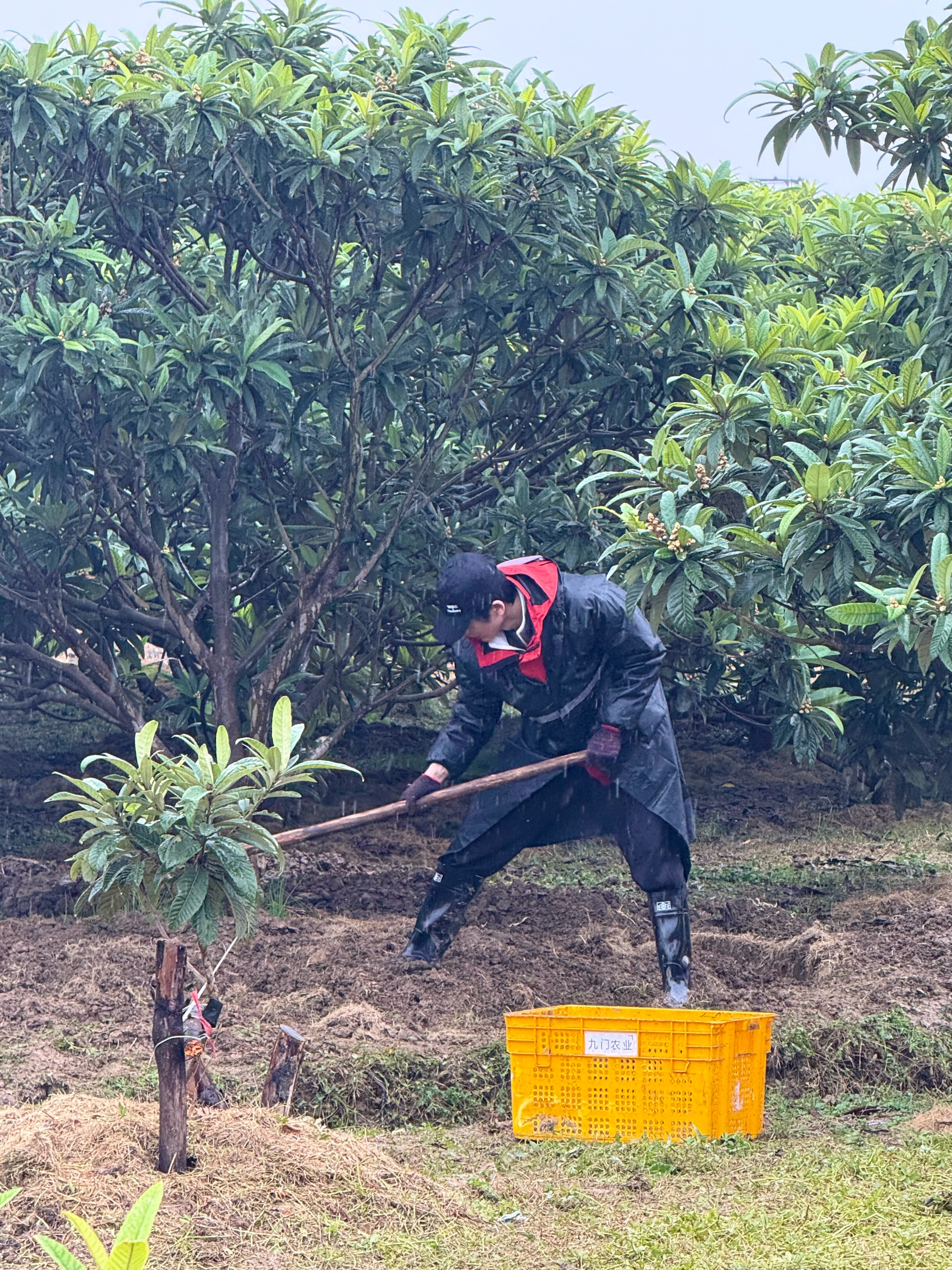 张凌赫张凌赫永远为自己是中国人而自豪张凌赫凌探未来收官文 满心赤诚热爱祖国，始终