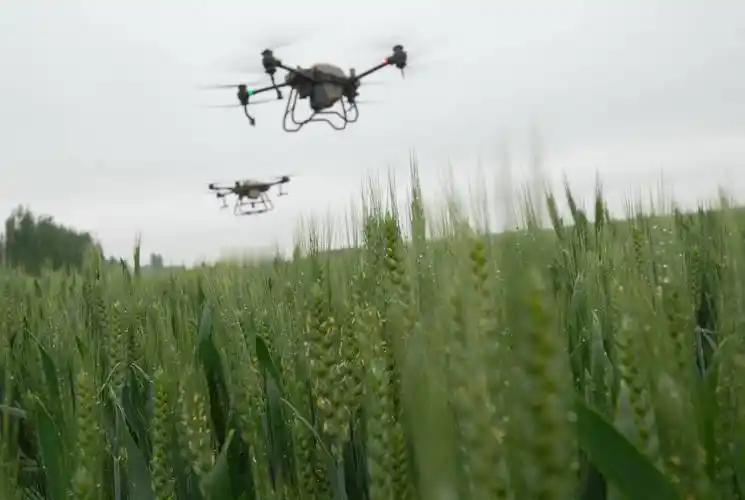 我们这里田里小麦都抽穗了，发现这几天多个无人机日夜再喷药，不知此无人机是不是抖音