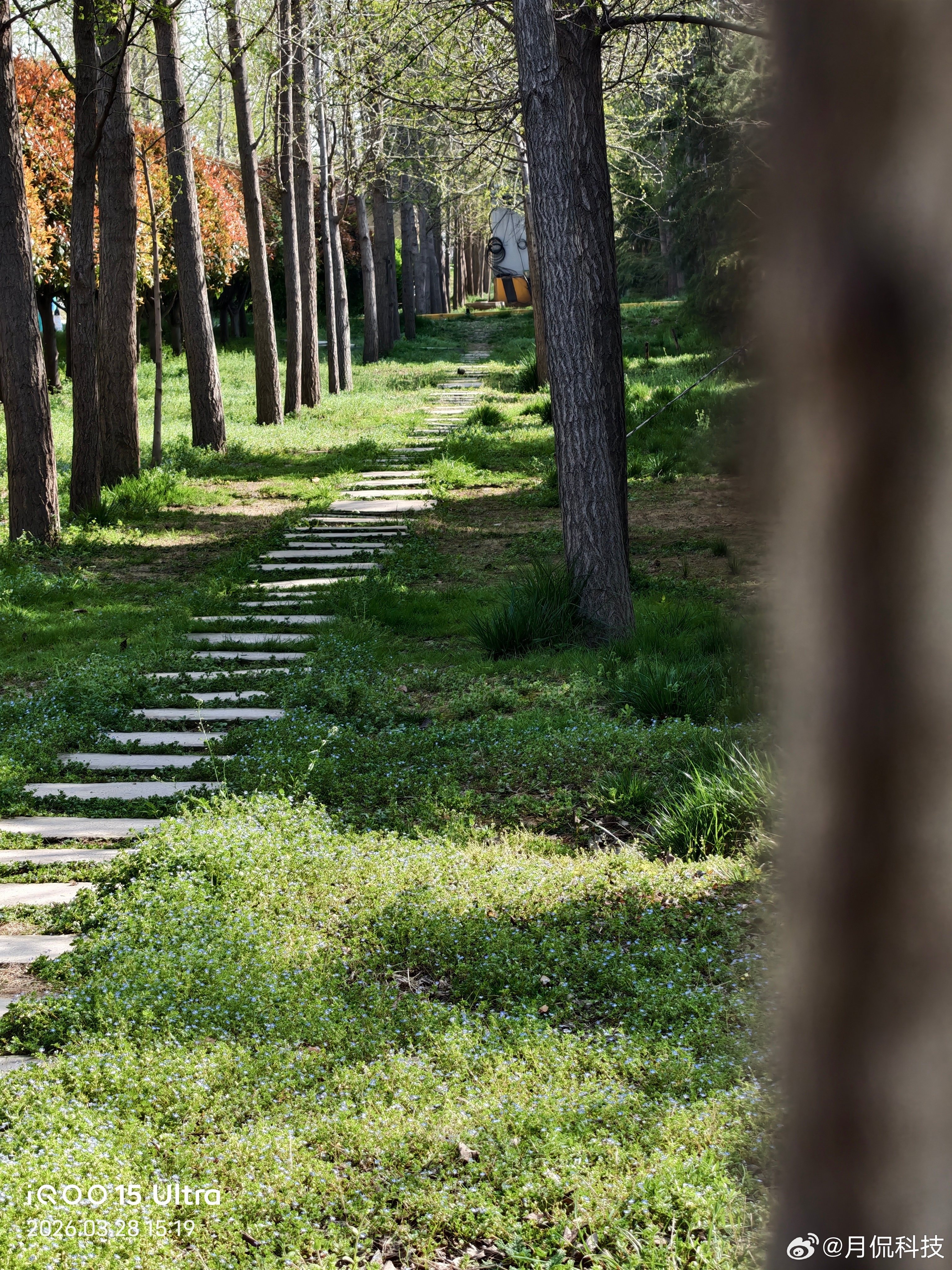 iqoo 用iqoo15 ultra 拍下来的春天小路，有没有一种曲径通幽的感觉