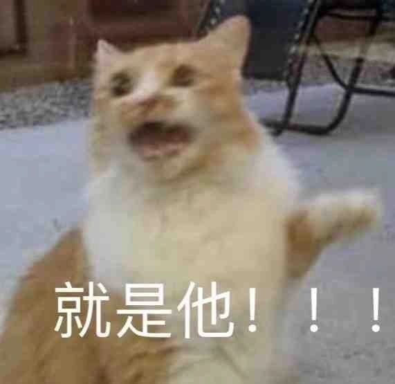 可爱聊天表情包更新了 ​​​