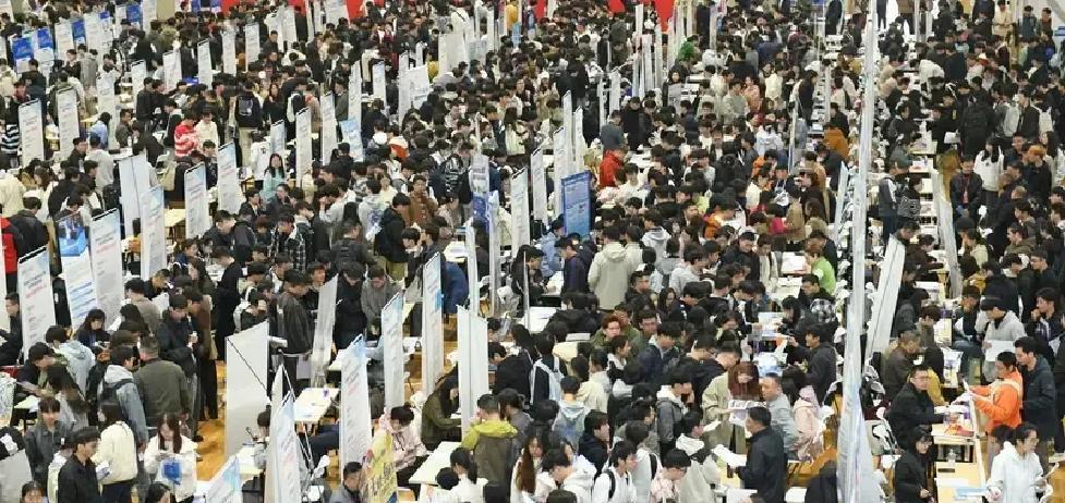1270万毕业生撞上567万岗位？这数字看一眼都心慌。

未来两年，找工作的年轻