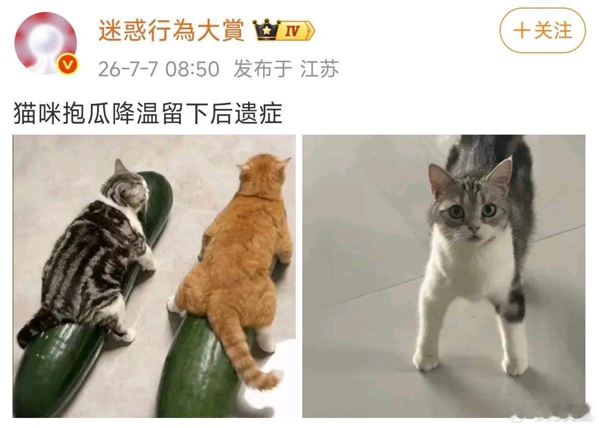 16086受概念 明珠智商高 