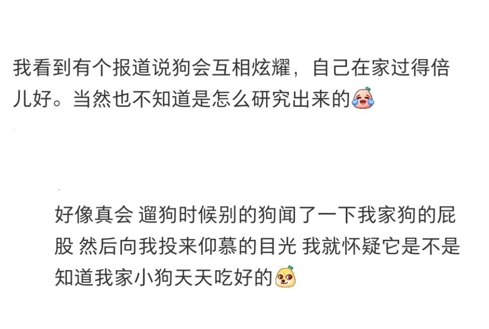 原来小狗之间也会聊八卦生活趣事狂想曲暑假冲浪计划 ​​​