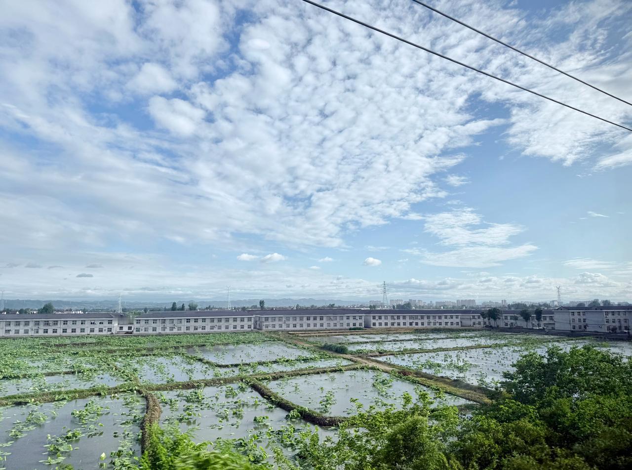 雨过天晴☁️但是明天开始又是新一轮降雨好烦吧…… ​​​
