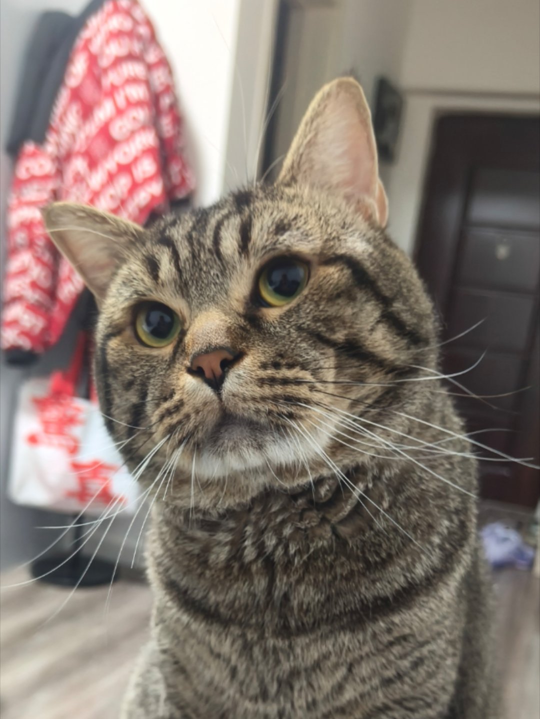 冬天打球就是少林寺穿搭。泰熙家的这个“泰式打抛石锅拌饭”不错，可以试试。 