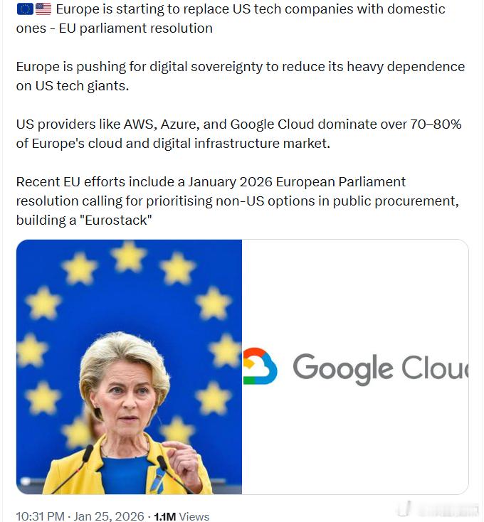 欧盟议会决议：欧洲开始用本土科技公司取代美国科技公司欧洲正在推动数字主权，以减少