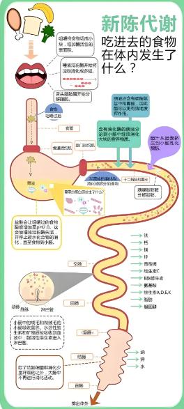 出汗多少不代表代谢强弱，别再盲目判断。
 
出汗的核心作用是调节体温，人体是恒温