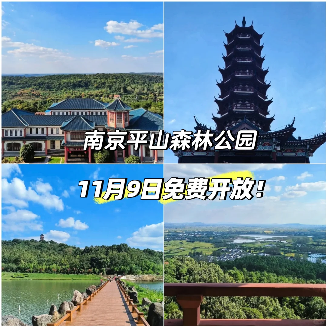 《战狼》取景地—南京平山森林公园即将免费