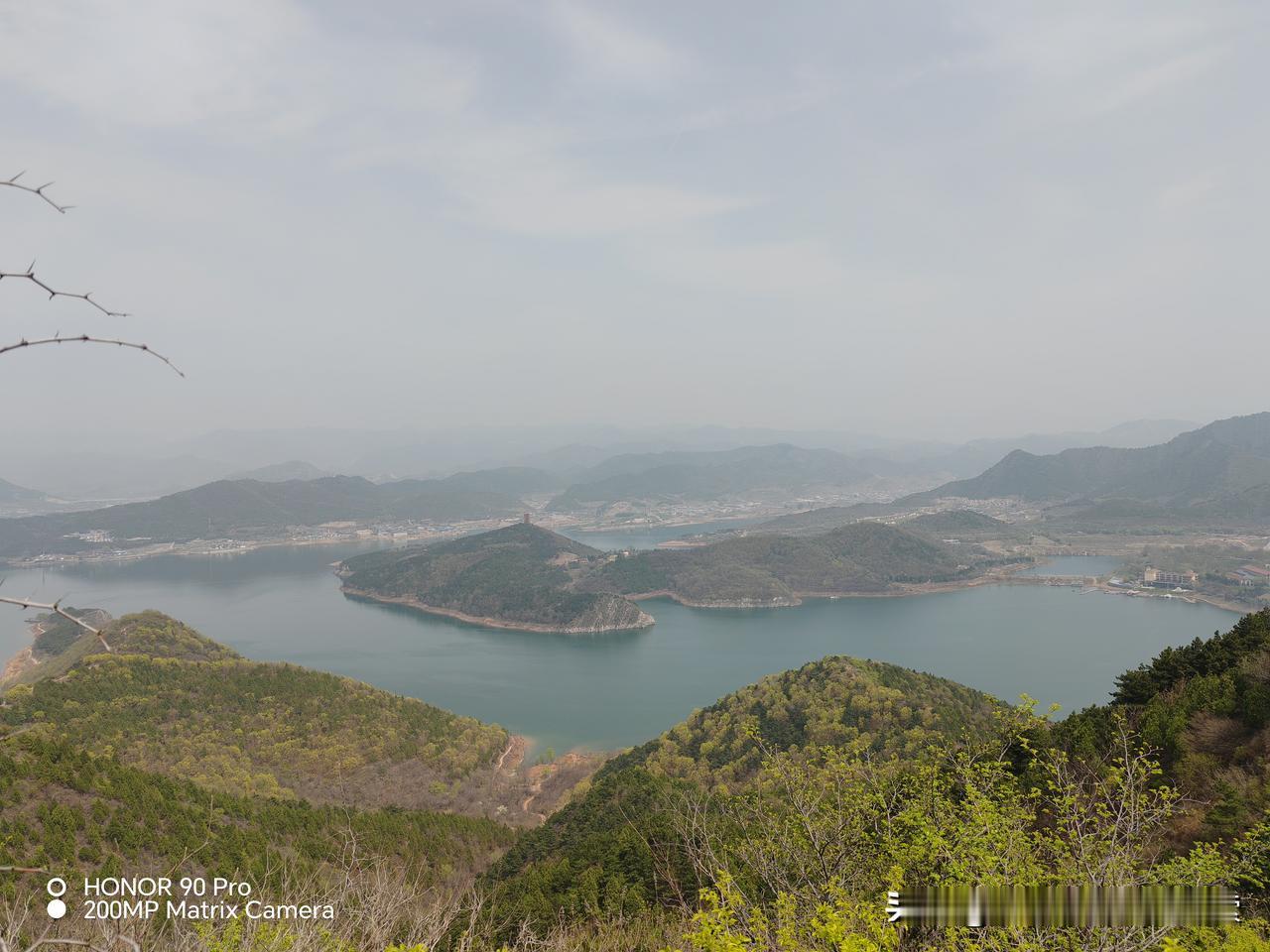 我分享一张之前去金海湖拍的红杉林照片，那里的树林长在湖畔山野间，形成了独特的水上