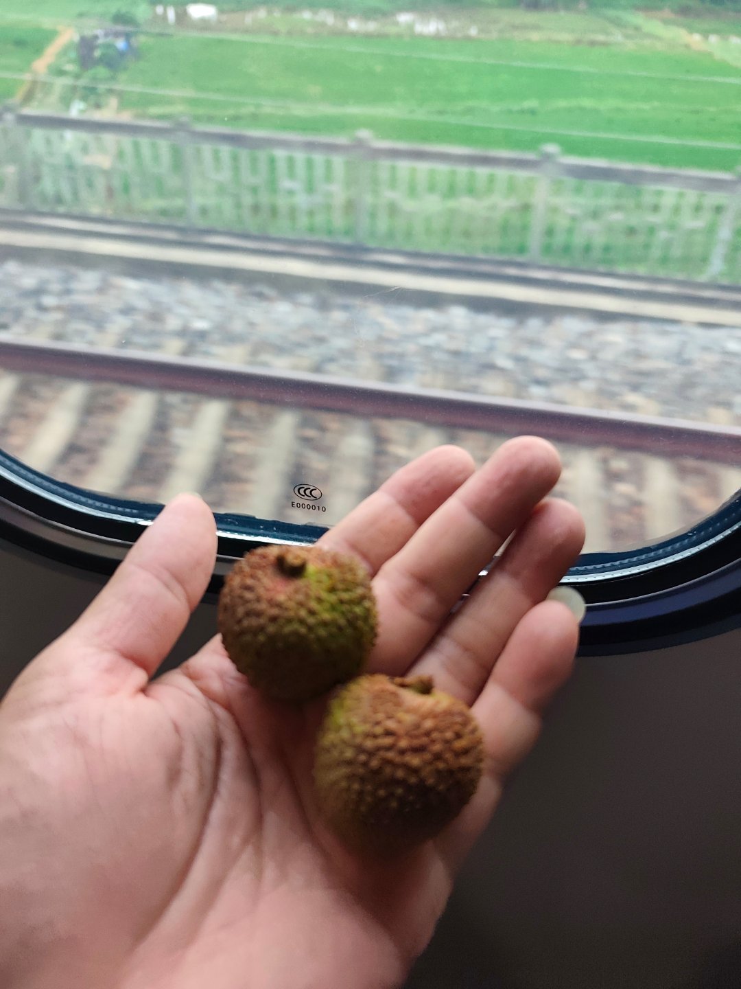 在高铁上站了一路，分特。好不容易终于到了深圳北站，看到好多人下车，而站台没人候车