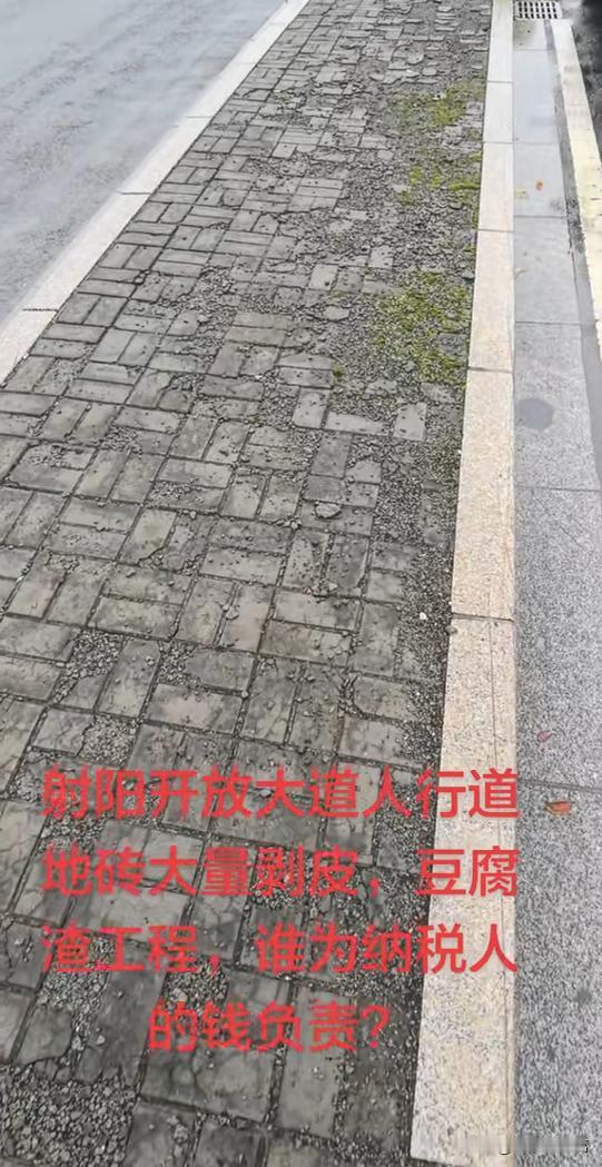市民反映：射阳开放大道人行道地砖大量剥皮…