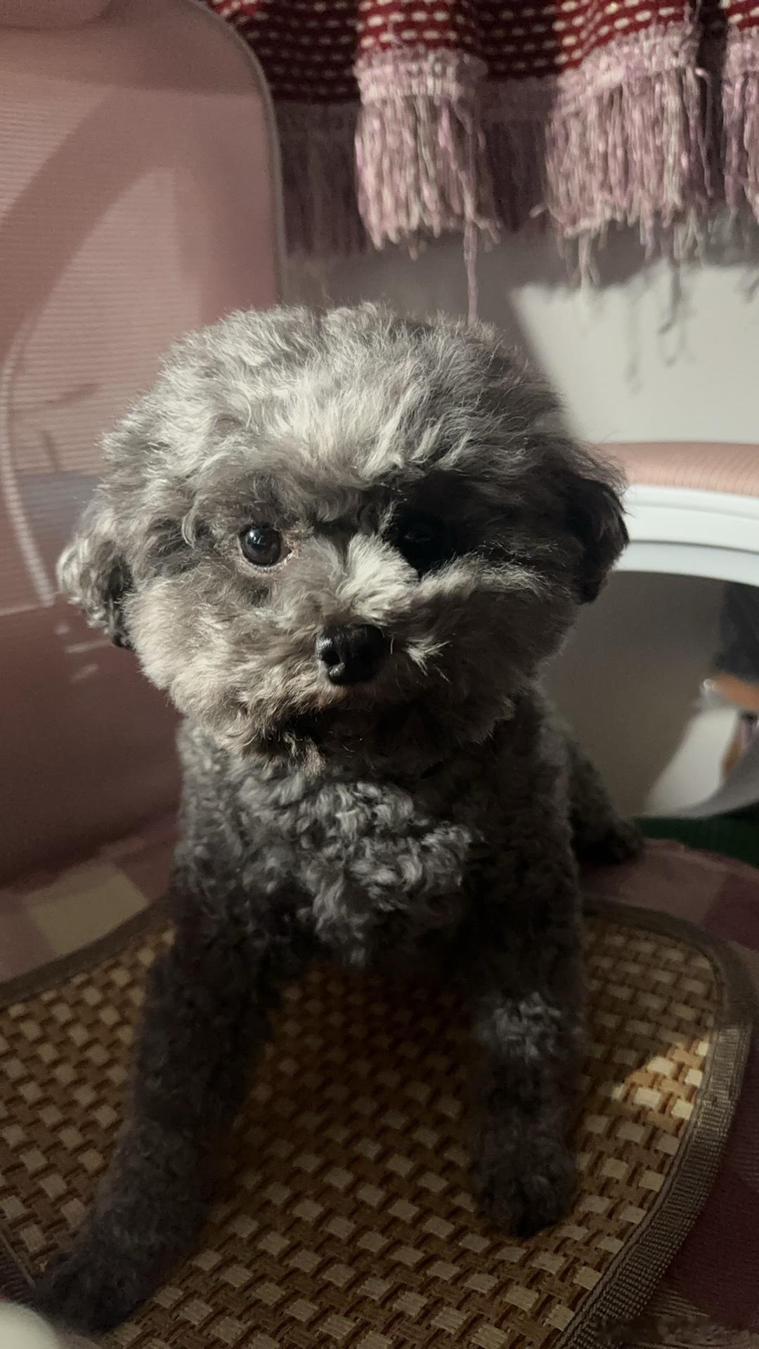 分享图片 ​​​