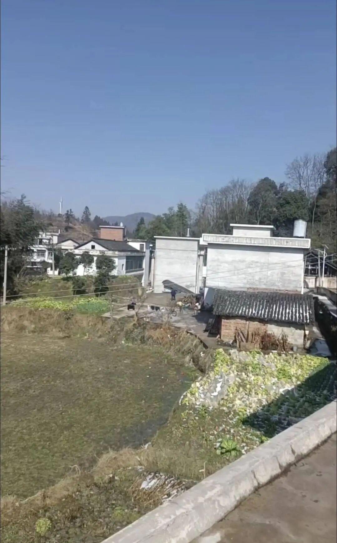 浙江，一男子被女友提出分手，心里难以接受，一时冲动抱着对方打算一同跳河自尽。中途