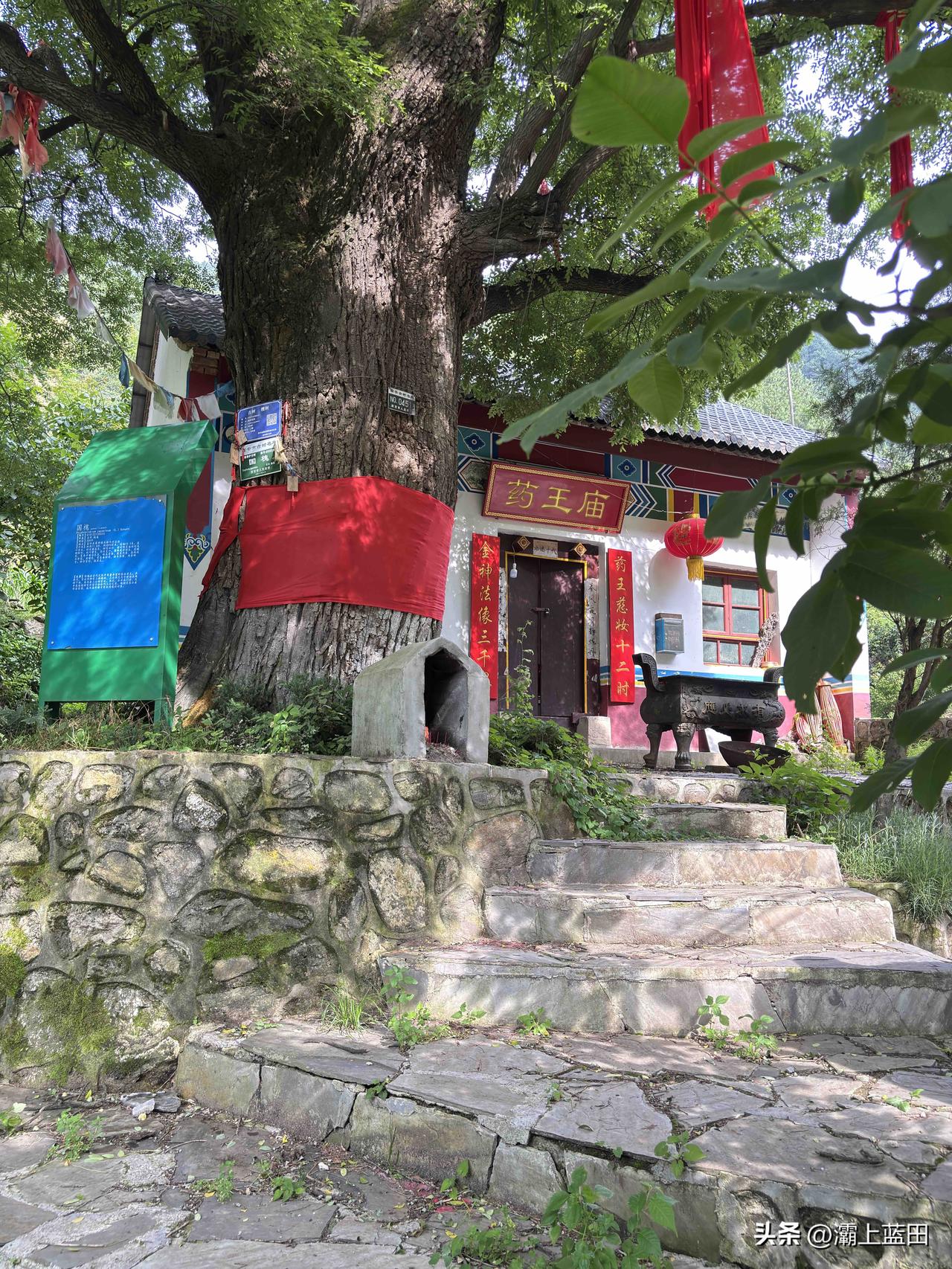 蓝田石船沟药王庙，这个是啥时候建的，门前的大槐树，看着有些年代了，石船沟村也叫安