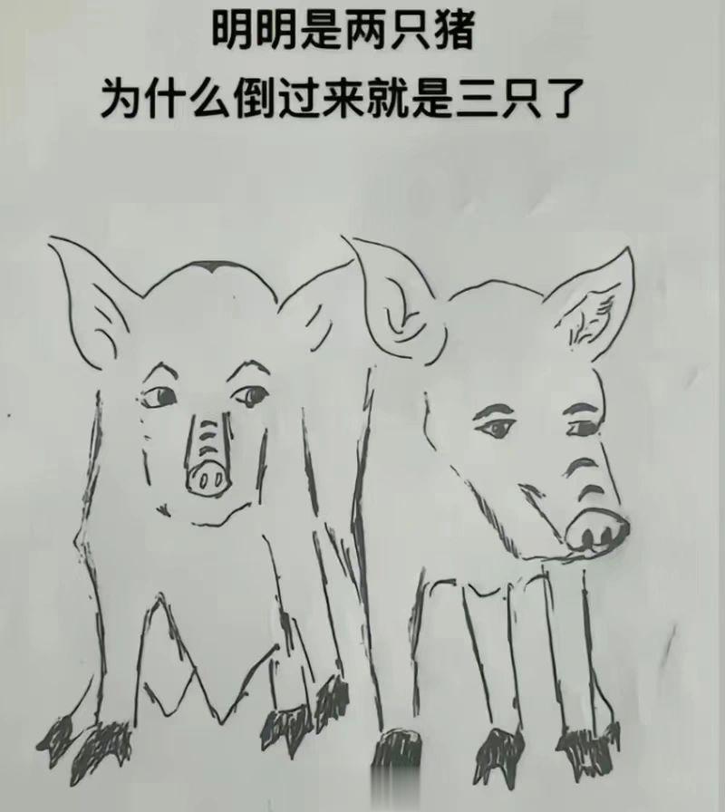 太神奇了 ​​​