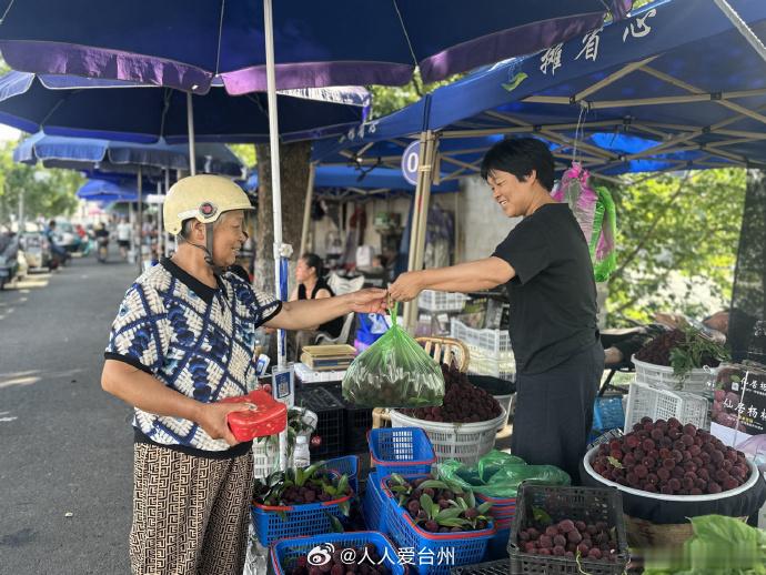 6月杨梅红台州精细治理护航果农增收路 近日，台州天台迎来集中上市，漫山鲜果挂满枝