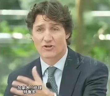 加拿大前总理当众说透：是美国，硬生生把加拿大推向了中国
 
当地时间4月23日，