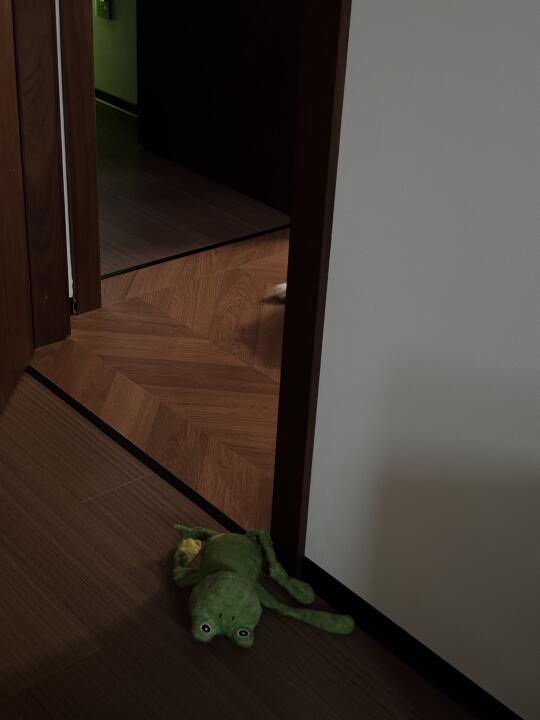 这谁猜得到啊！看图 到底是谁🔪了小青蛙🐸