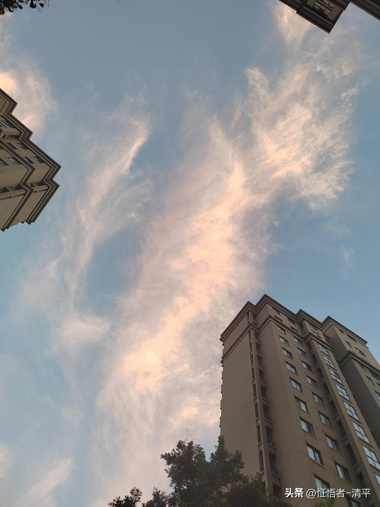 这个时代成为英雄豪杰，变得大富大贵的核心动作，就是——

你只要看到一个好东西，