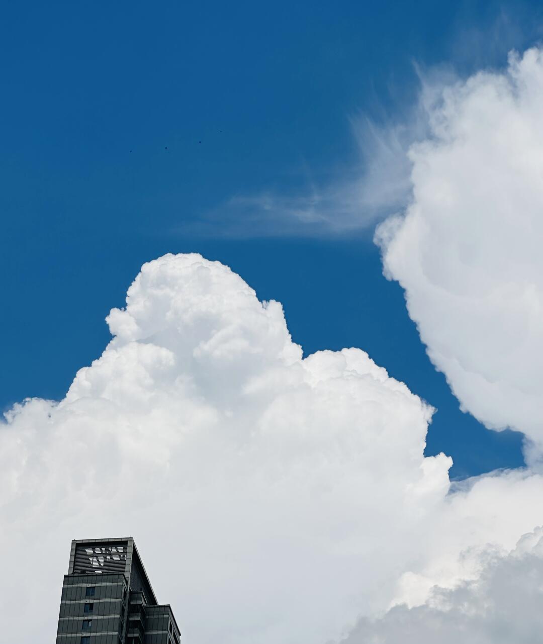 今天的☁️很好看