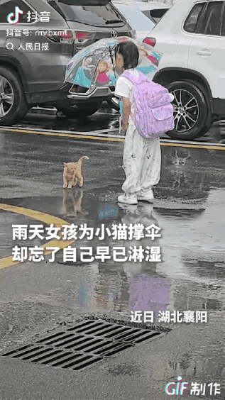 “上人民日报了！”湖北襄阳，一个小姑娘看到雨里有只流浪猫，她没有绕道走，而是弯腰