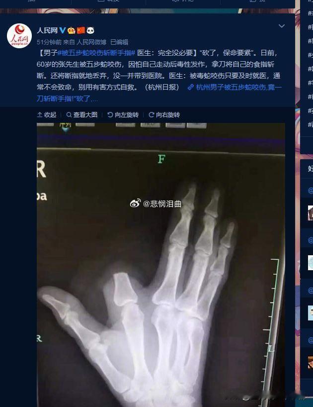 沙雕小说害人 