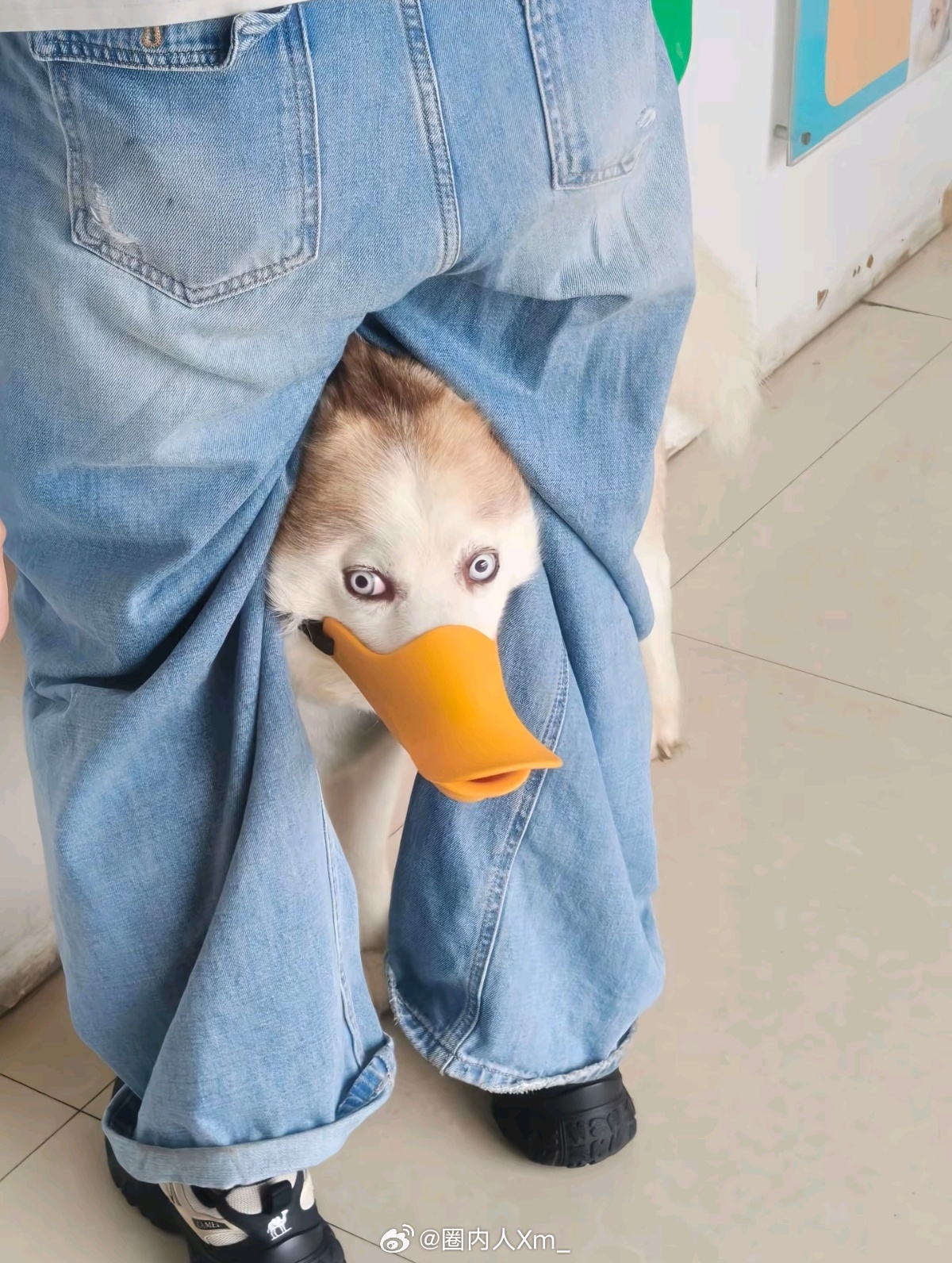 哈哈哈哈哈哈哈哈 