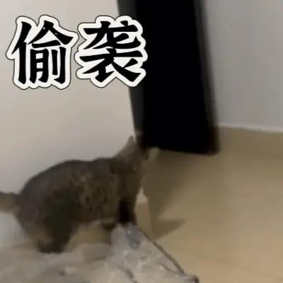 日本善用偷袭战，比如77事变，珍珠港事件等等。