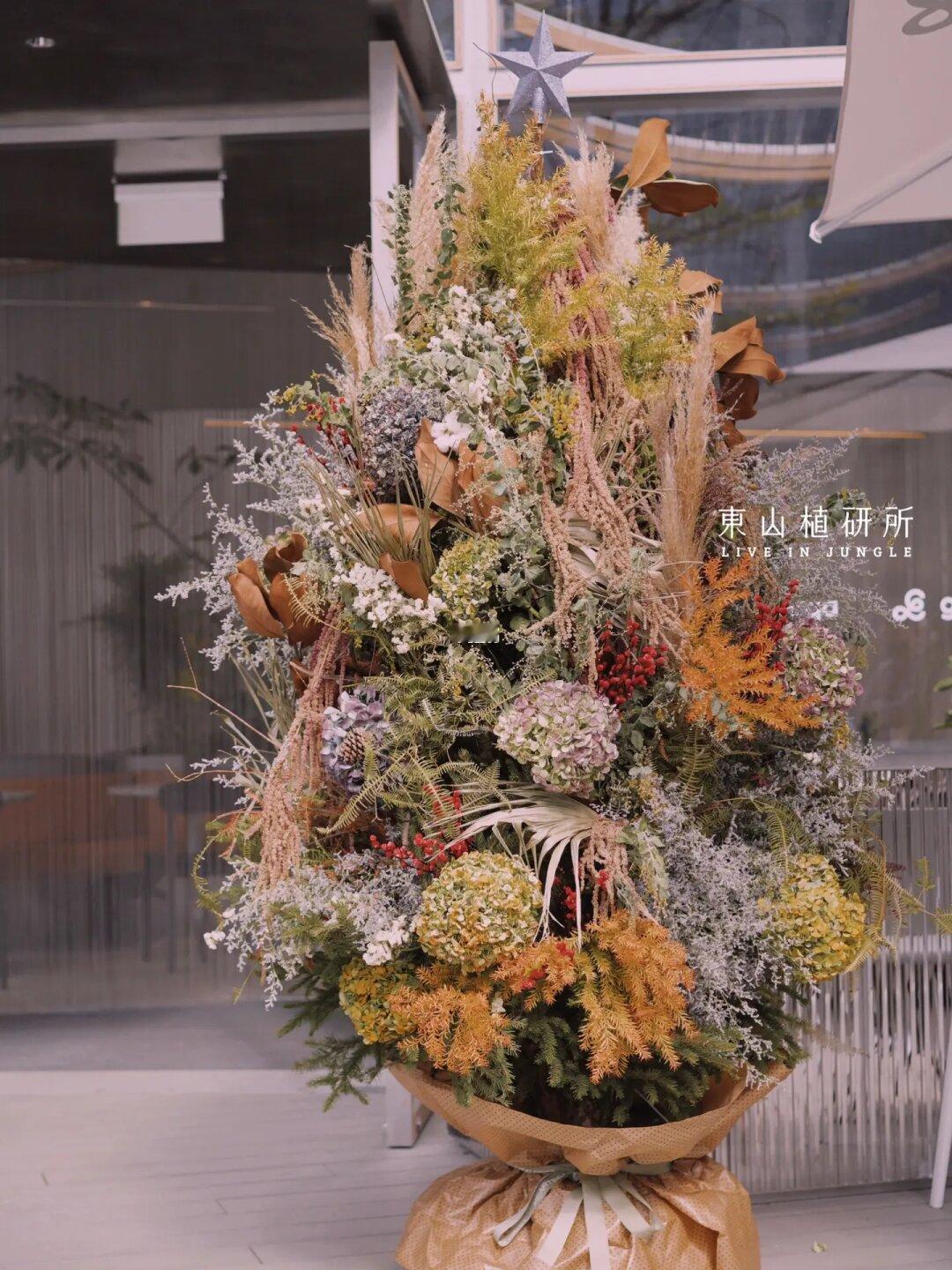 属于秋天的圣诞树🎄