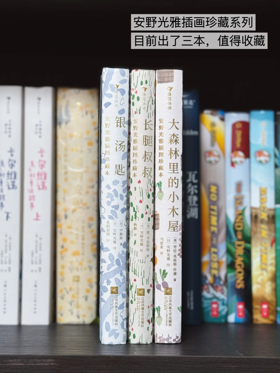 四年级小学生不挑食的阅读书单📚