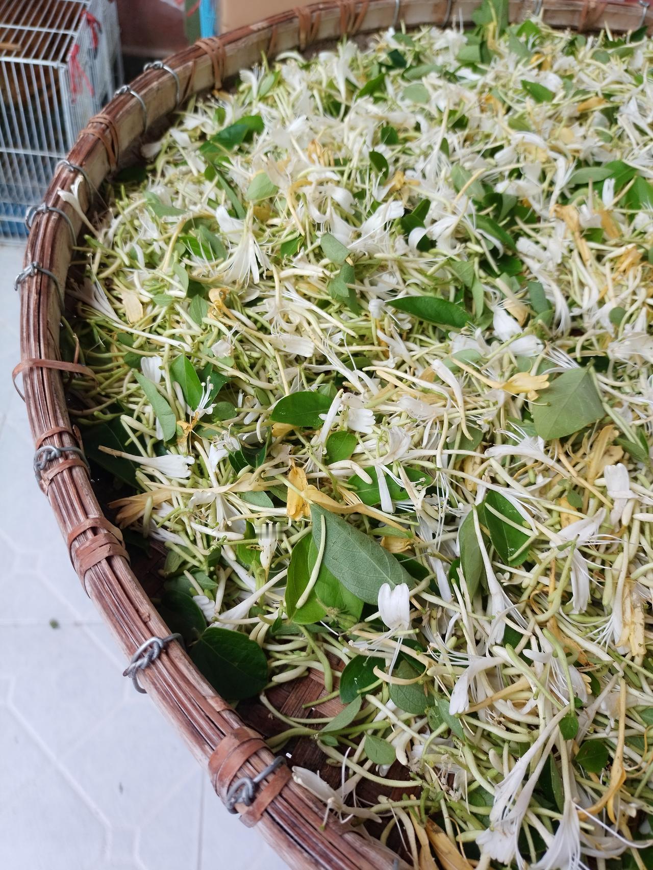 昨天下了一下午的雨，可是我妈还是要坚持出门，明知道有雨也要外出，因为再不出去，好