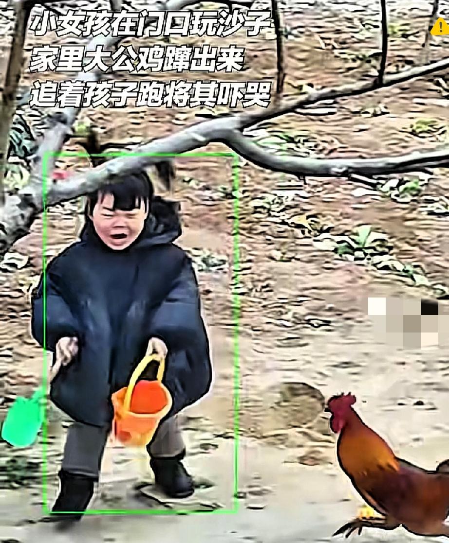 江苏宿迁这外婆也太护犊子了！

外孙女被公鸡追着啄，哭唧唧跑回屋，外婆直接上演“
