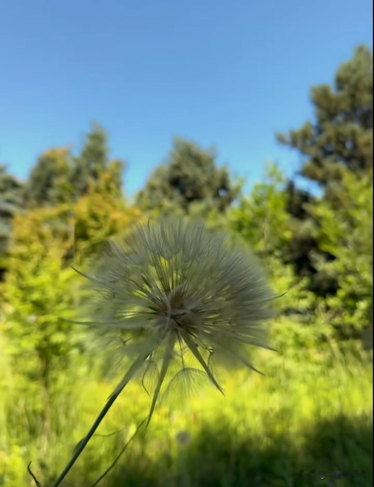 人生要学会沉淀，
沉淀经验，沉淀心情，沉淀自己。

不管昨天，今天，明天，
能豁