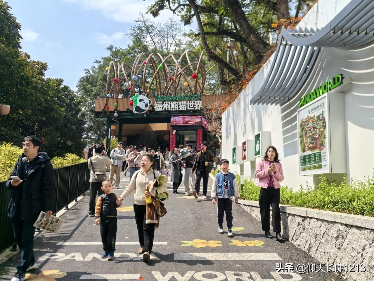 每次路过熊猫世界的大门，我都觉得自己还欠着“邻居们”一张门票。去年，这群国宝刚到