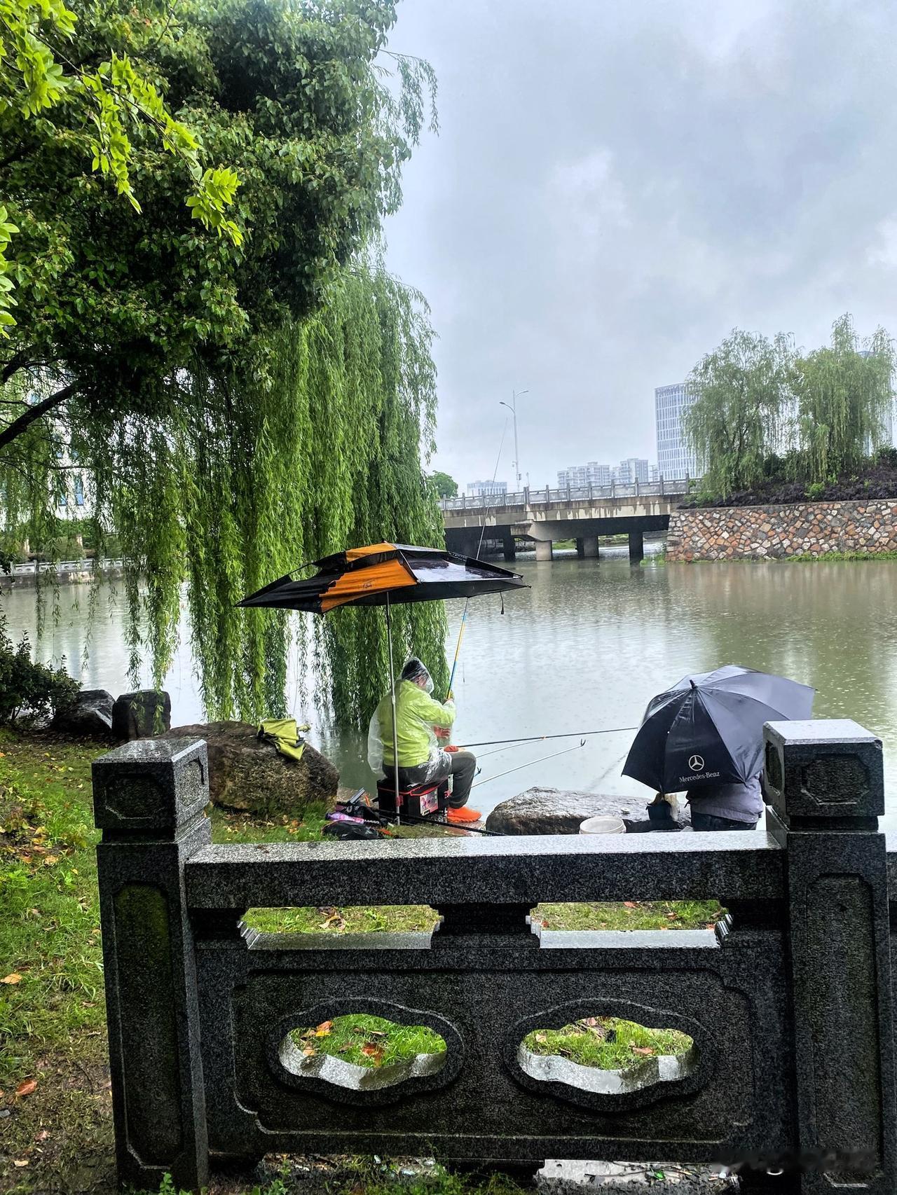 钓鱼下雨天也要好好钓鱼，这里是联谊村蔷薇花路边的小河，鸟语花香，清水涟漪，风景绝