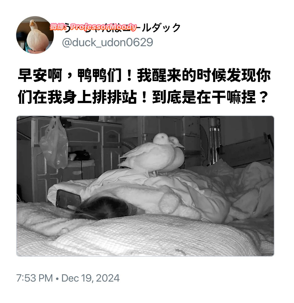站一下都不行鸭 