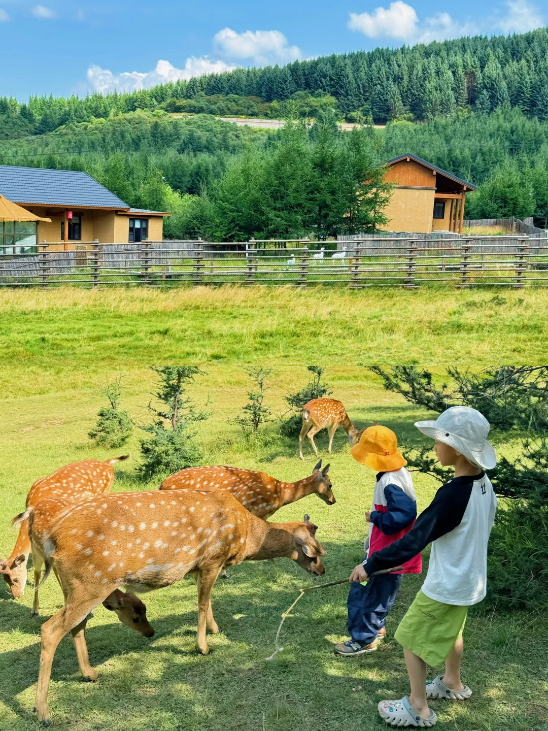 暑假反向避暑‼️定西阿勒泰～被低估的宝藏地～