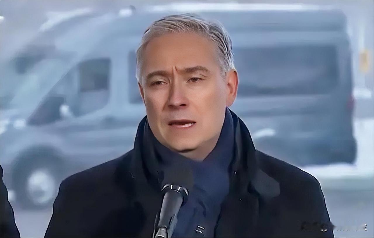 加拿大财政部长弗朗索瓦-菲利普·商鹏飞表示，“加拿大被视为一个稳定、可预测的国家