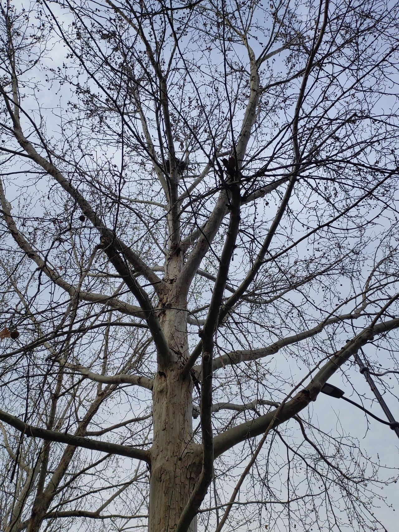 周一的时候，不关心政治的朋友突然发了一个朋友圈：占领日本，台湾问题迎刃而解！
愕